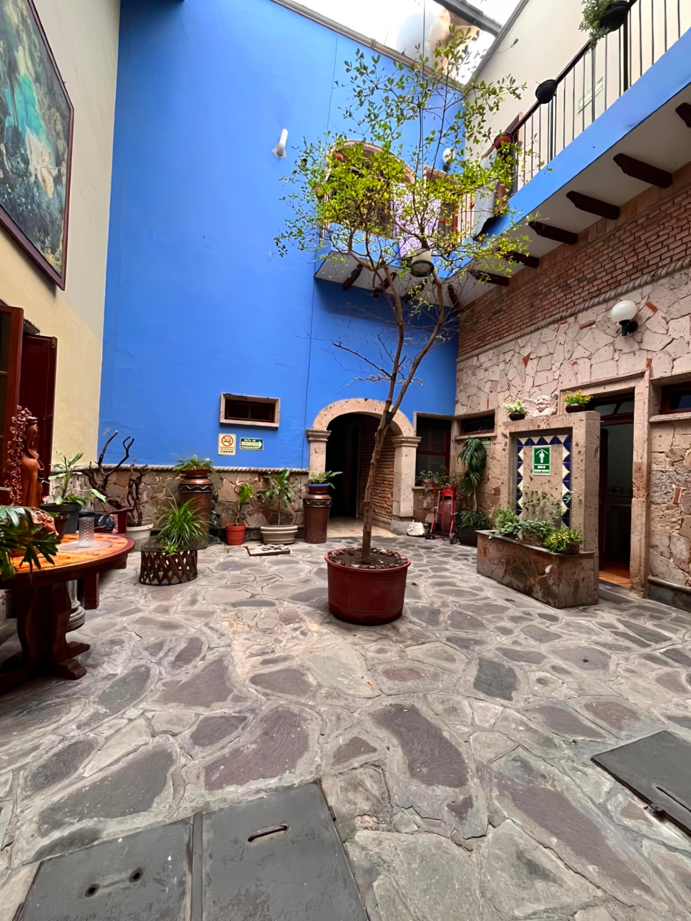 Patio interior con muro azul y árbol al centro